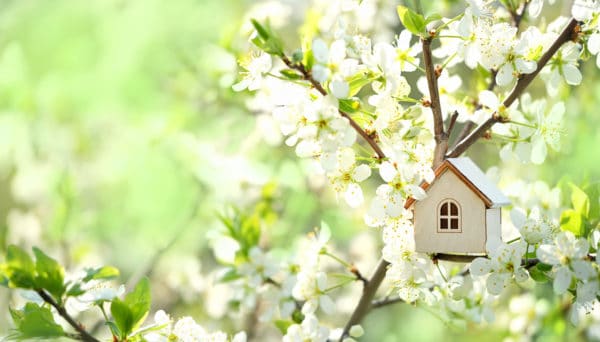 Houten huisje in lente als symbool voor seizoensverhuur - Chateau Residenties